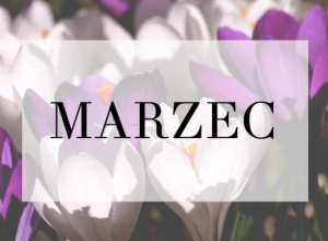 Zamierzenia wychowawczo- dydaktyczne na marzec