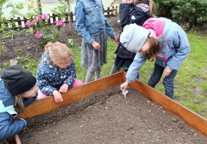 Dziewczynki podczas sadzenia roślin w ogrodzie