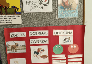 Zdjęcie 7 na 13