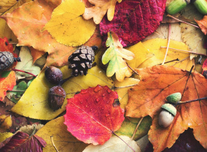 Zamierzenia wychowawczo-dydaktyczne na listopad