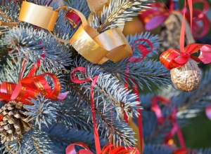 Zamierzenia wychowawczo-dydaktyczne na grudzień