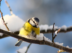 Zamierzenia wychowawczo-dydaktyczne na luty